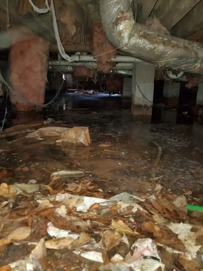 Crawl space flood assessment for Leak Detection & Repair in Soledad